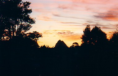 csunset.jpg