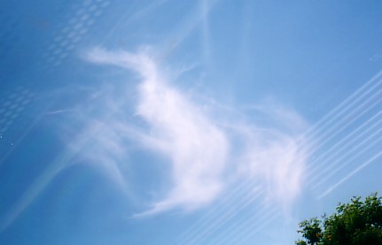 pegasus.jpg